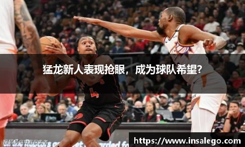 猛龙新人表现抢眼，成为球队希望？