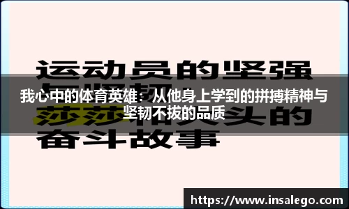 我心中的体育英雄：从他身上学到的拼搏精神与坚韧不拔的品质