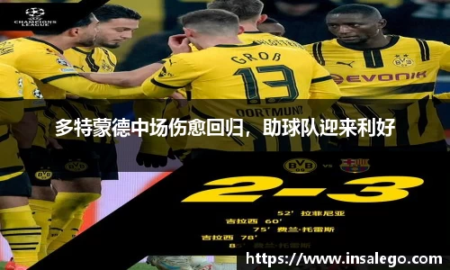 多特蒙德中场伤愈回归，助球队迎来利好